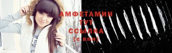 ГАЛЛЮЦИНОГЕННЫЕ ГРИБЫ Кукмор