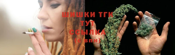 ГАЛЛЮЦИНОГЕННЫЕ ГРИБЫ Кукмор