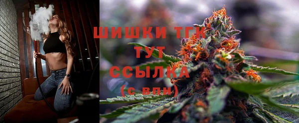 гашик Лысково